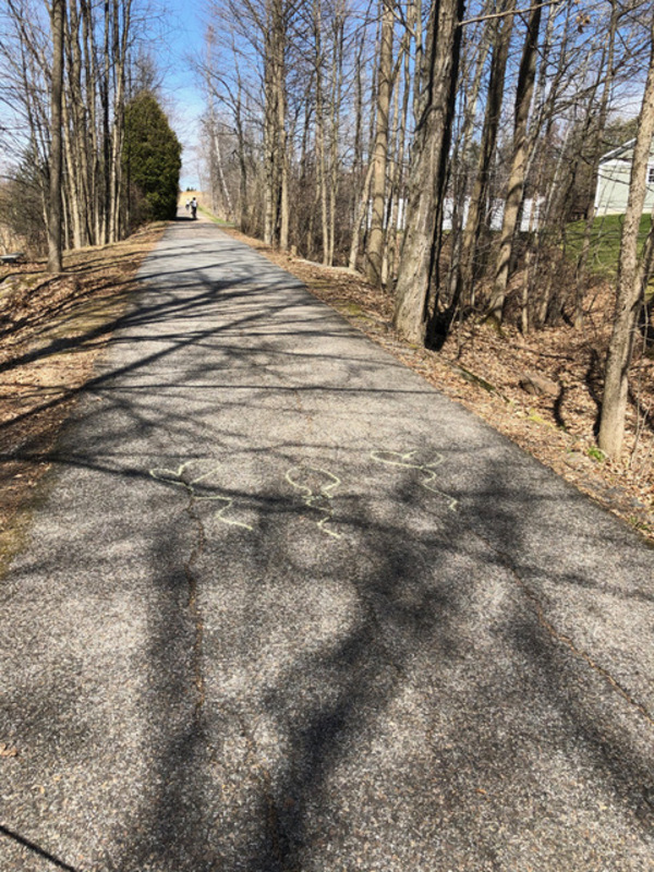Chalk Balloons on Bike Trail.jpeg Chalk Balloons on Bike Trail.jpeg