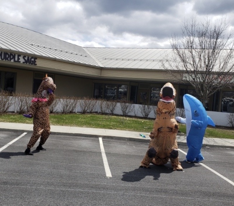 Essex Experience Giraffe TRex Shark.JPG