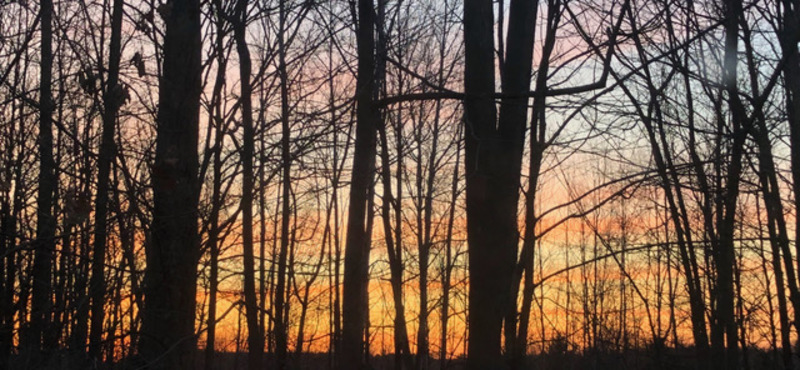 Stars and Stripes Sunset.jpeg