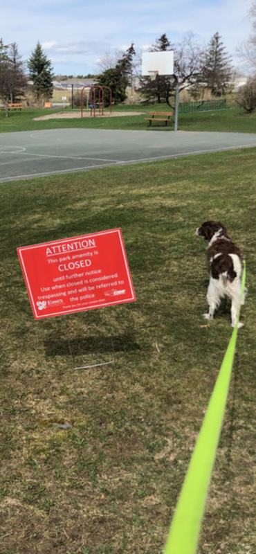 Closed Park and Dog.jpeg