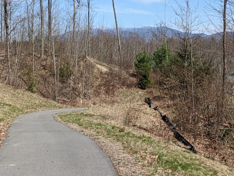 View of Mt. Mansfield from walking path.jpg